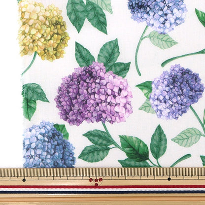 [来自数量5] 织物 “ Liberty Fabric Liyosel草坪布 萨福克奖DC30104-D] Liberty Japan