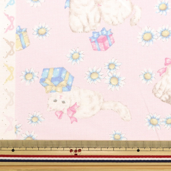 [From quantity 5] Fabric 『Oxford Classical Modern Present Cat Pink CMOF-68-P]