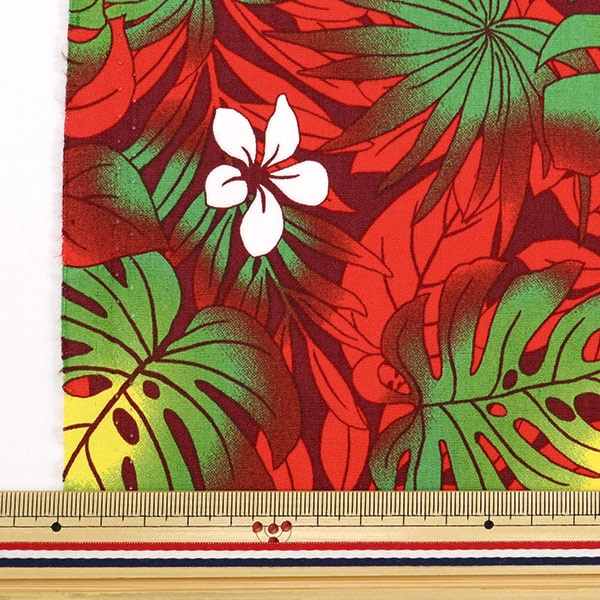 [來自數量5] 織物 “ Broad Hawaii Amplint Monster Red 204-A”
