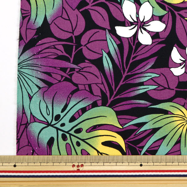 [來自數量5] 織物 “ Broad Hawaii Amplint Monstera Purple 204-B”