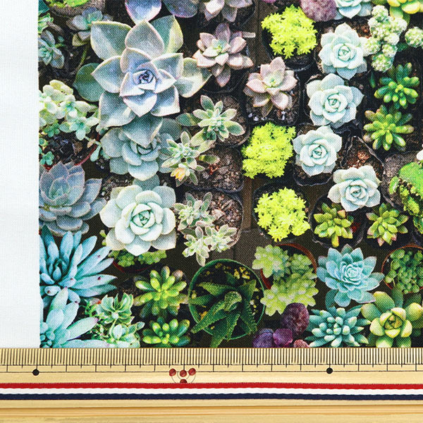 [From quantity 5] Fabric "Inkjet Print Garden AP8010-2"