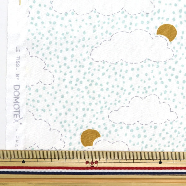[From quantity 5] Fabric "DOMOTEX Cotton Print after Rain Blue DOMO-CPT9"