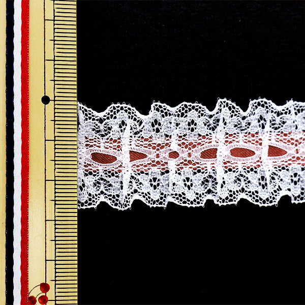 [來自數量5]種族”絲帶Russell Frill 2023寬度約2.5厘米5顏色12432rb-5]
