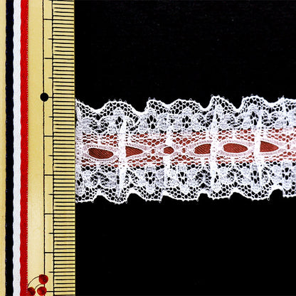 [來自數量5]種族”絲帶Russell Frill 2023寬度約2.5厘米5顏色12432rb-5]