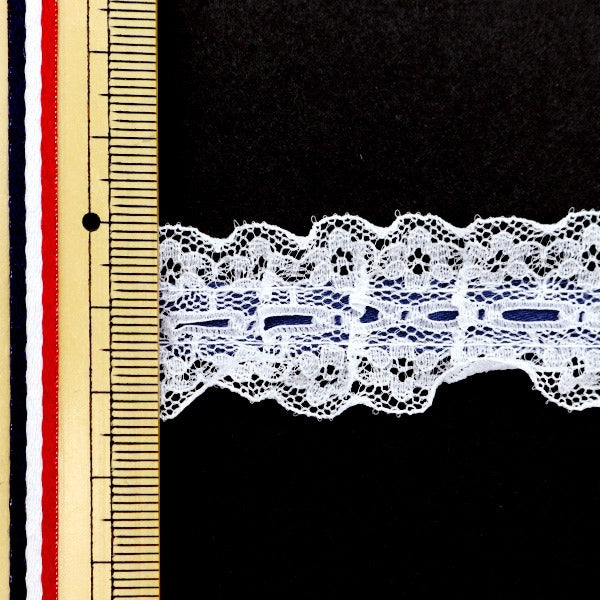 [來自數量5]種族”絲帶Russell Frill 2023寬度約2.5厘米40顏色12432rb-40”