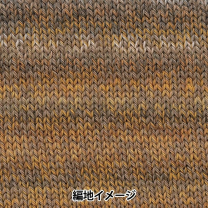 秋冬纱线 “百分比变化302颜色” Richmore Rich More
