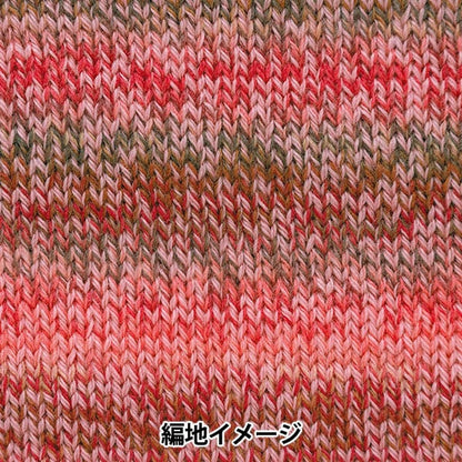 秋冬纱线 “百分比变化303颜色” Richmore Rich更多