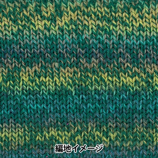秋冬纱线 “百分比变化306颜色” Richmore Rich More
