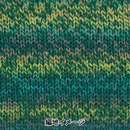 秋冬纱线 “百分比变化306颜色” Richmore Rich More