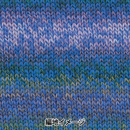 秋冬纱线 “百分比变化309颜色” Richmore Rich更多