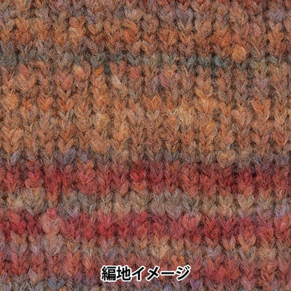 秋冬纱线 “剧院第四颜色” Richmore Rich More