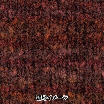 秋冬纱线 “剧院8颜色” Richmore Rich More