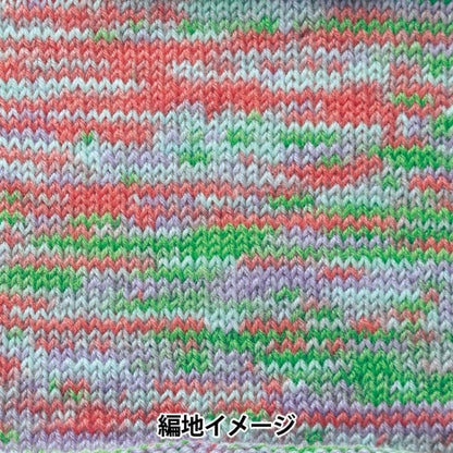 秋冬纱线 “ Rapx Multi Color 501颜色” Hamanaka