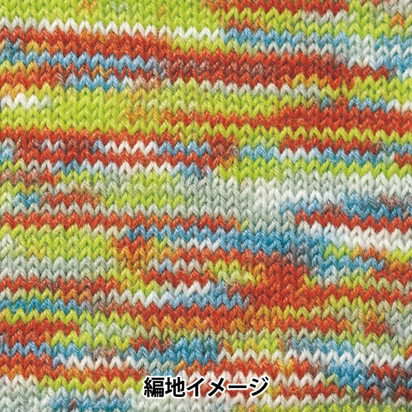秋冬纱线 “ Rapx Multi Color 502颜色” Hamanaka