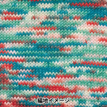 秋冬纱线 “ Rapx多色503颜色” Hamanaka