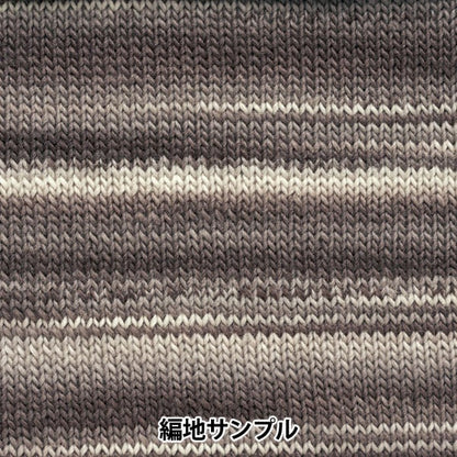 秋冬纱线 “ wabie（等级）第二颜色” Hamanaka