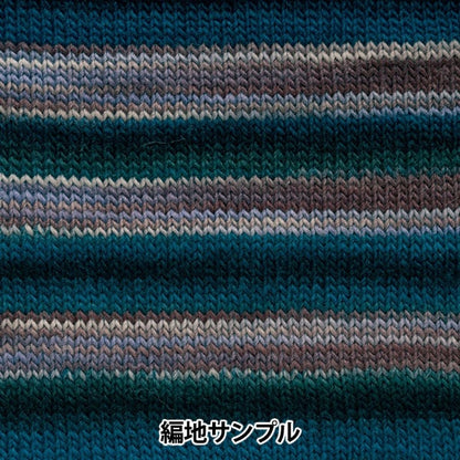 秋冬纱线 “ waby（渐变）第八颜色” Hamanaka