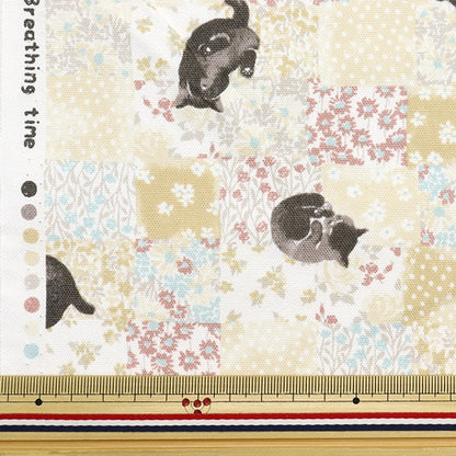 [From quantity 5] Fabric 『Oxford Cat check beige NOX-CACH-BE] KOKKA