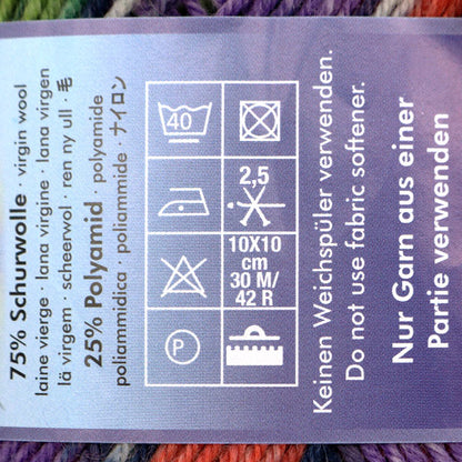 袜子纱线 纱线 “美女3健康4ply 11300颜色”蛋白石蛋白石