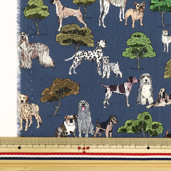 [From quantity 5] Fabric "Liberty Fabric Tana lawn Hyde Park Houng 363J7301-B] Liberty Japan