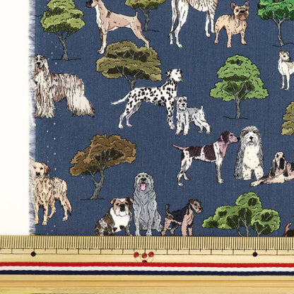 [From quantity 5] Fabric "Liberty Fabric Tana lawn Hyde Park Houng 363J7301-B] Liberty Japan