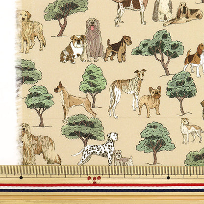 [From quantity 5] Fabric "Liberty Fabric Tana lawn Hyde Park Houng 363J7301-D] Liberty Japan