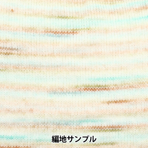 秋冬纱线 “蜂窝纱T2颜色”世界Festa世界Festa