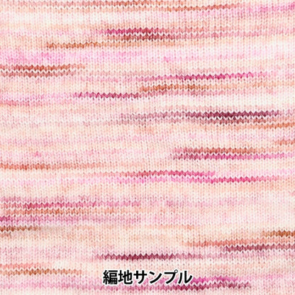 秋冬纱线 “蜂窝纱T5彩色”世界Festa世界Festa