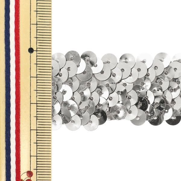 [From quantity 5] HandicraftTrim 『Glitter trim Silver 9108-Si]