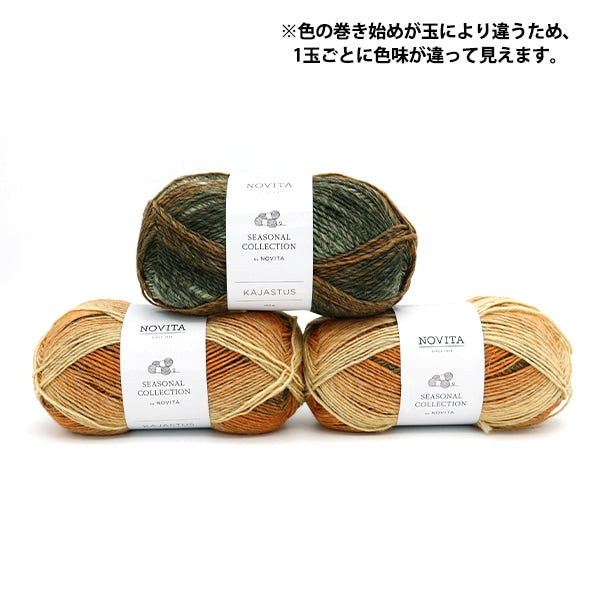 秋冬毛糸 『NOVITA KAJASTUS 830番色 秋のハーモニー』 NOVITA ノヴィタ ノビータ