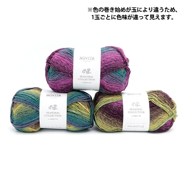 秋冬纱线 “ Novita Kajastus 982 Color Fanfare” Novita Novita