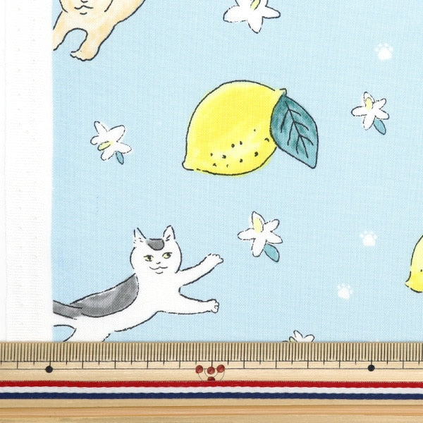 [From quantity 5] Fabric 『Sheeting Cat Lemon Blue DEYT-CALE-BL]