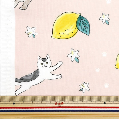 [From quantity 5] Fabric 『Sheeting Cat Lemon Pink DEYT-CALE-PK]