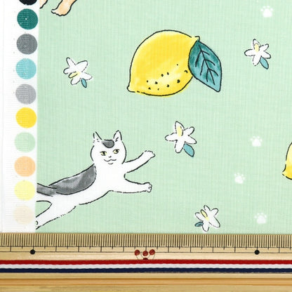 [From quantity 5] Fabric 『Sheeting Cat Lemon Green DEYT-CALE-GR]
