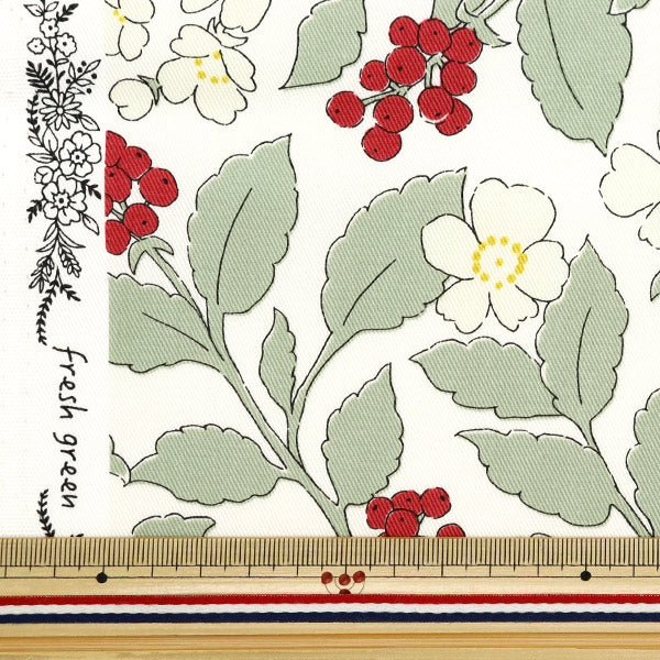 [From quantity 5] Fabric "Twill Fresh Garden Fresh Green TWFGR-LGR"