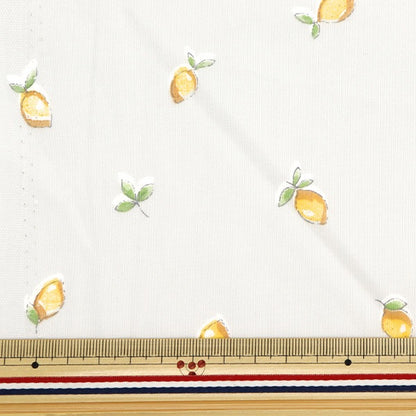 [From quantity 5] Fabric 『Sheeting Lemon Light Gray NO-LEMON-C]