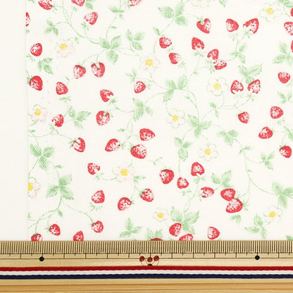 [From quantity 5] Fabric 『Sheeting Ichigo White NO-STRA-A]