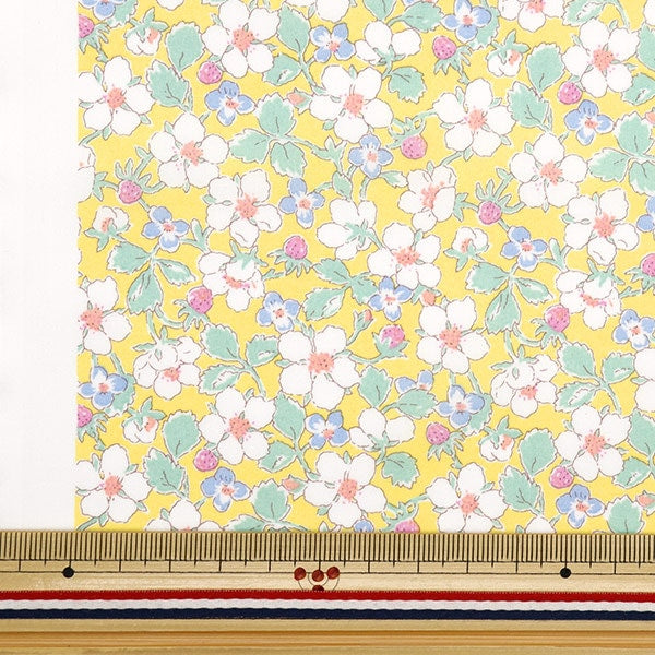 [From quantity 5] Fabric "Liberty Fabric Tana lawn Payzan Nublosum 3634121-24CU] Liberty Japan