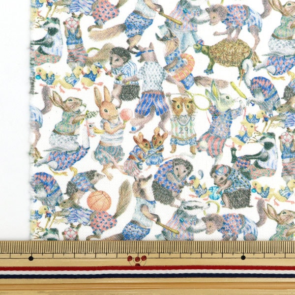[From quantity 5] Fabric "Liberty Fabric No. 11 Canvas Harabaloo 3631121-21A" Liberty Japan