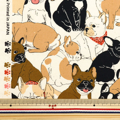 [來自數量5] 織物 『牛津布 法國鬥牛犬天然OX35406-1A]