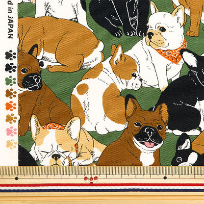 [來自數量5] 織物 『牛津布 法國鬥牛犬卡其色OX35406-1C]