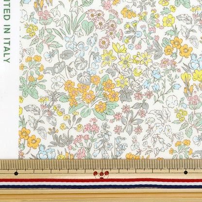 [来自数量5] 织物 “自由织物有机塔纳草坪 春天157J904-B] Liberty Japan