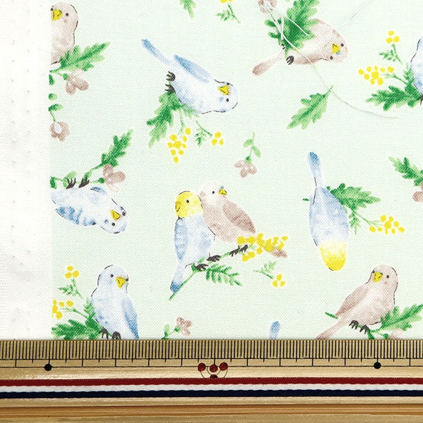 [From quantity 5] Fabric 『Sheeting Colorful canvas watercolor parakeet pattern light mint COCAN-BIR-LMI] KOKKA