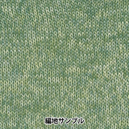 春夏纱线 “ hitoshi第三颜色” Hamanaka