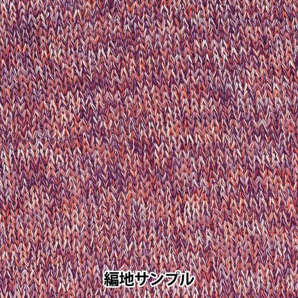 春夏纱线 “ hitoshi第五颜色” Hamanaka