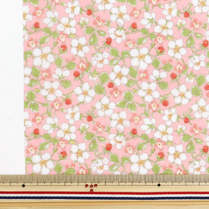 Fabric "Liberty Fabric LaminatedCut Cloth Approximately 33 × 50cm Payzan Nublosum CR363412124AU ”Liberty Japan