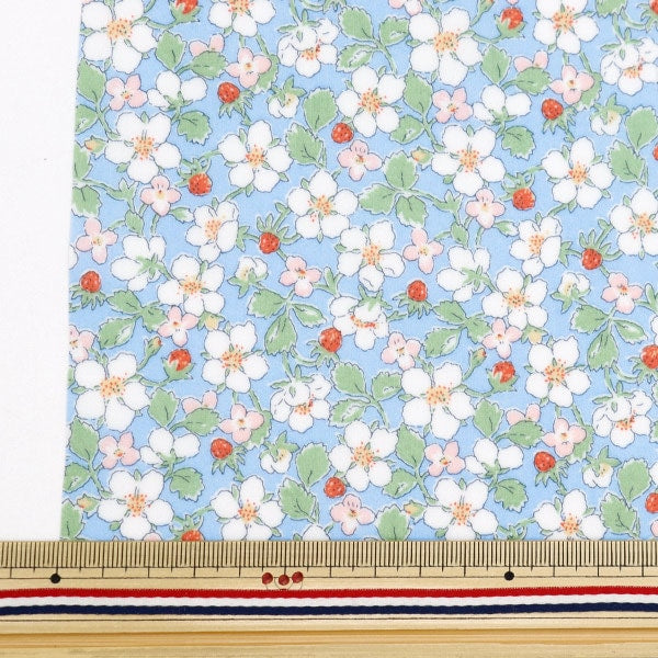 Fabric "Liberty Fabric LaminatedCut Cloth Approximately 33 × 50cm Payzan Nublosum CR363412124BU ”Liberty Japan