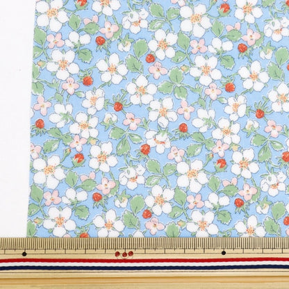 Fabric "Liberty Fabric LaminatedCut Cloth Approximately 33 × 50cm Payzan Nublosum CR363412124BU ”Liberty Japan