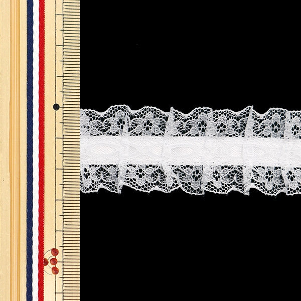 [來自數量5]種族”絲帶Russell Frill 2021寬度約2.5厘米41顏色12432rb-41”
