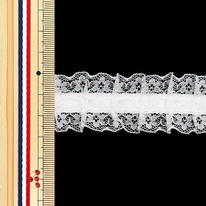 [來自數量5]種族”絲帶Russell Frill 2021寬度約2.5厘米41顏色12432rb-41”